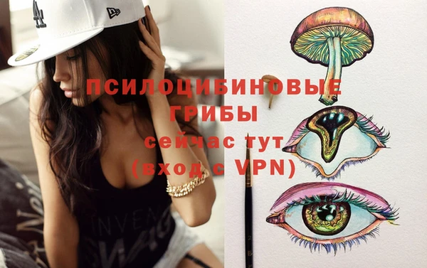 МДМА Козловка