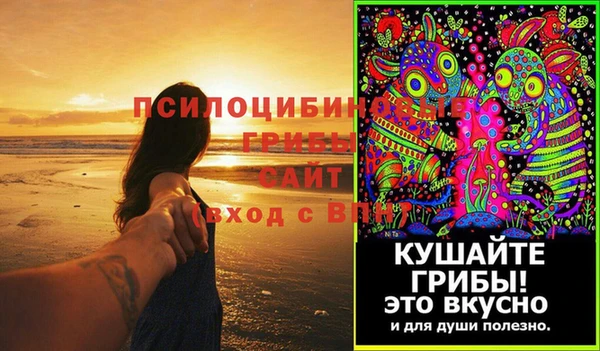 крисы Киренск